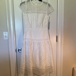 Antonio Melani Cam A-Line Lace Dress